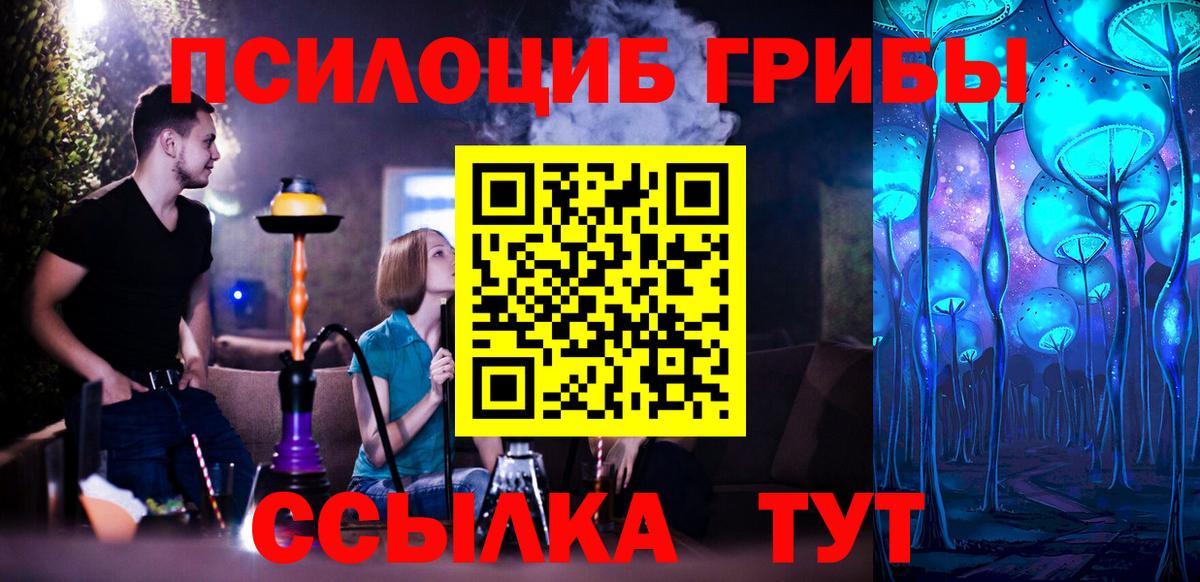 Псилоцибиновые грибы Psilocybe  Вход с VPN  Артёмовский 