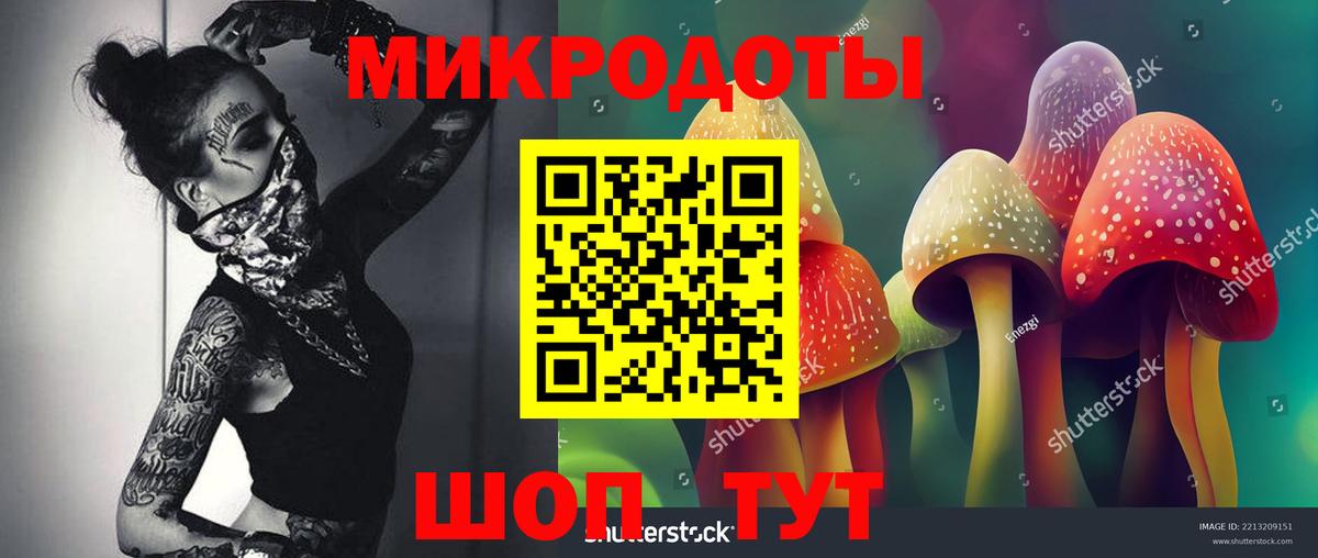 Псилоцибиновые грибы Psilocybe Артёмовский