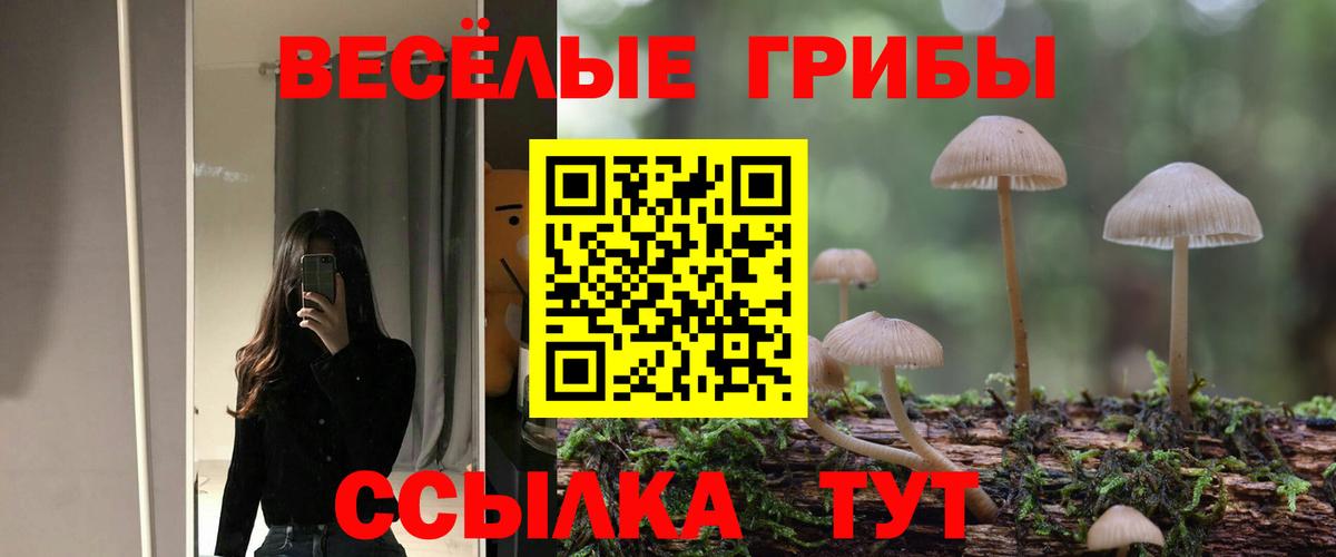 Псилоцибиновые грибы Psilocybe Артёмовский